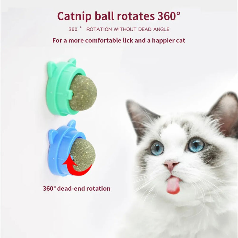 Catnip Mint Wall Ball