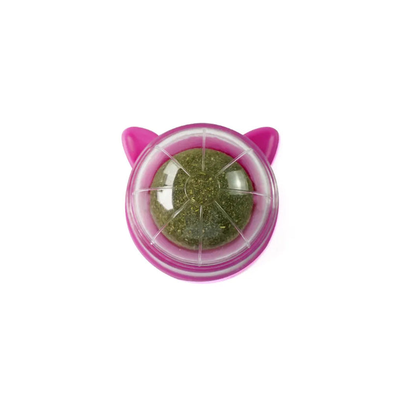 Catnip Mint Wall Ball